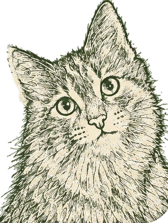 Chat tigré dessiné, emblème de La Note Ronron