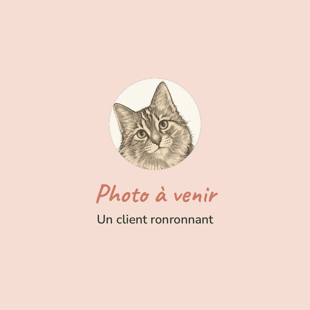 Chat détendu (photo à venir)