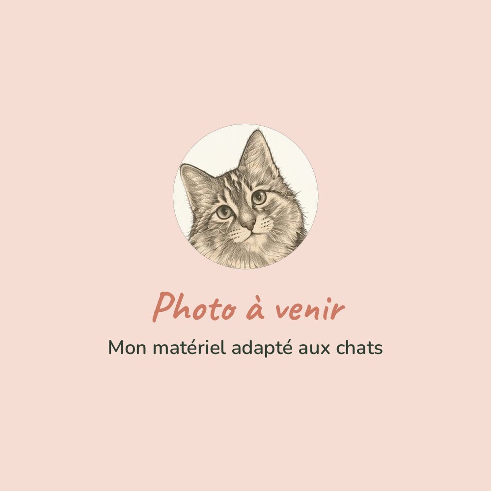 Matériel de toilettage adapté aux chats (photo à venir)