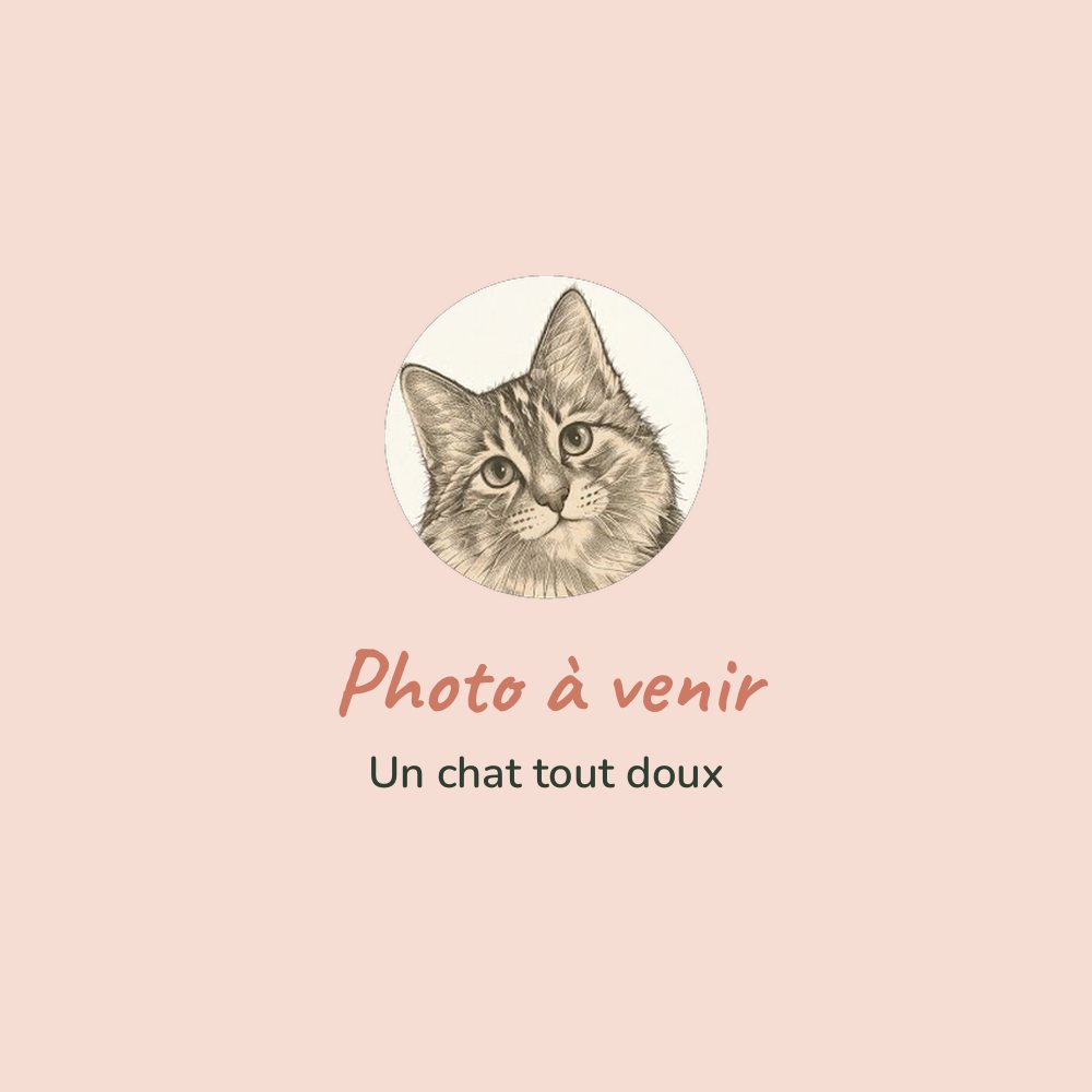 Chat détendu après son soin (photo à venir)
